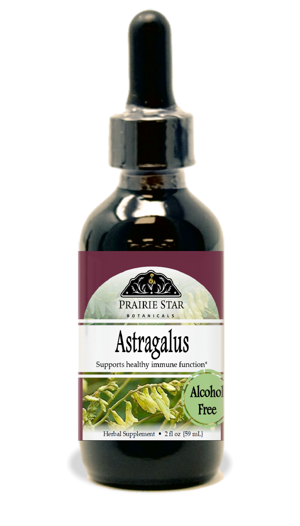 Astragalus