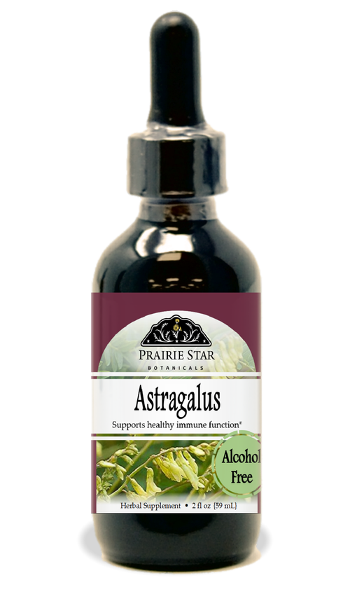 Astragalus