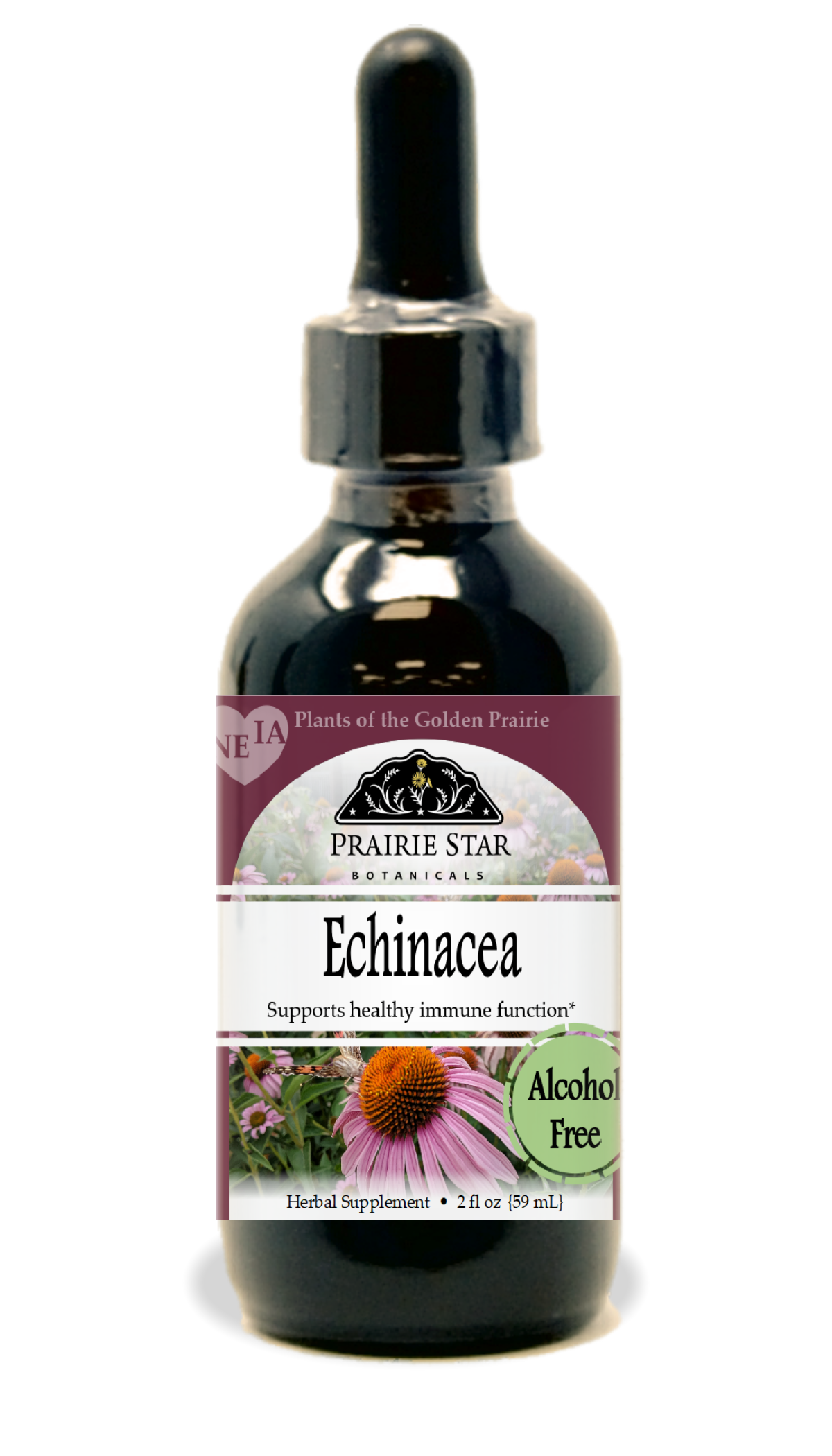 Echinacea
